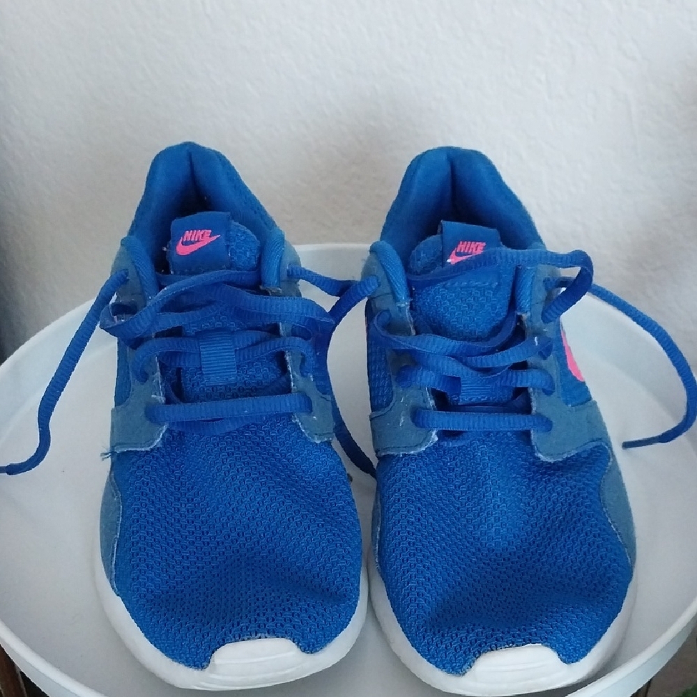 Nike Blue and Pink Sneakers Mesh Upper